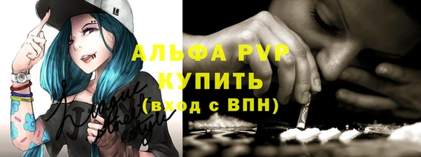 дживик Абаза