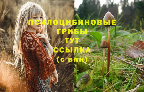 прущая мука Няндома