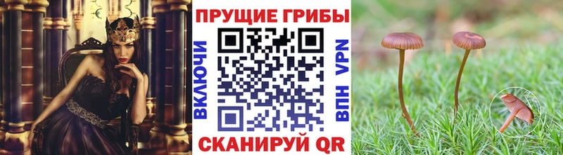 Галлюциногенные грибы ЛСД  hydra зеркало  Правдинск 